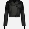 Bardeau Black