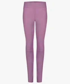 Colette Wild Rose