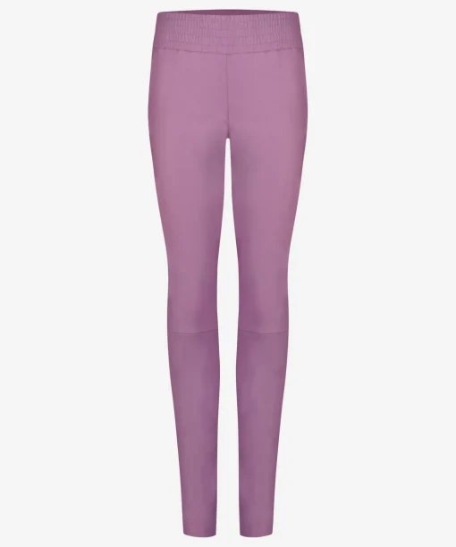 Colette Wild Rose