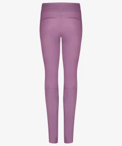 Colette Wild Rose