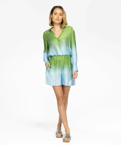 Palmy Dipdye