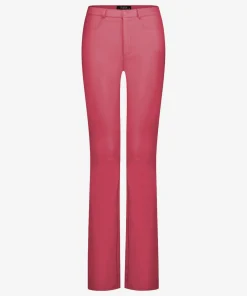 Paria Bright Pink